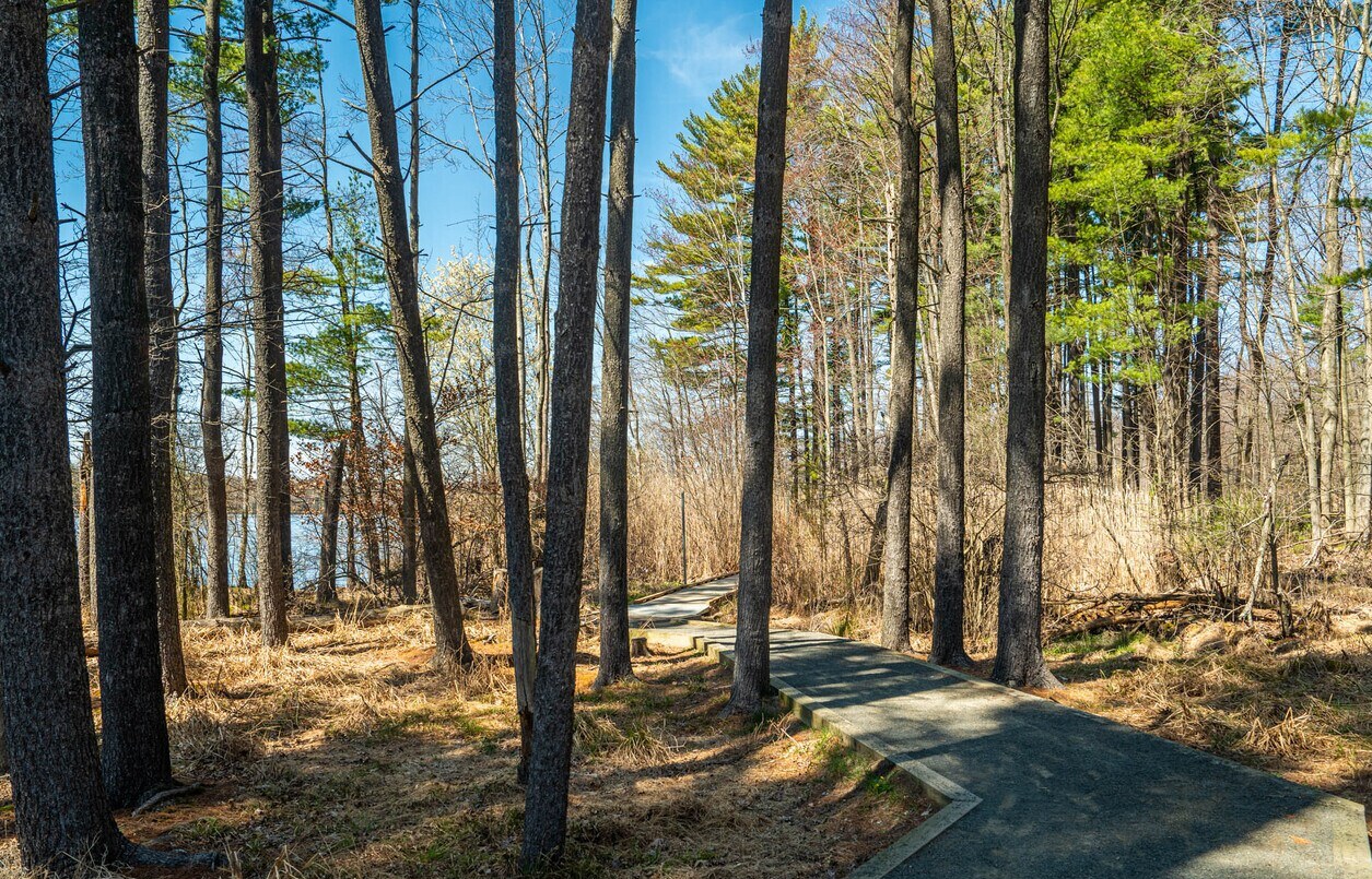 Franklin Lakes Nature Preserve